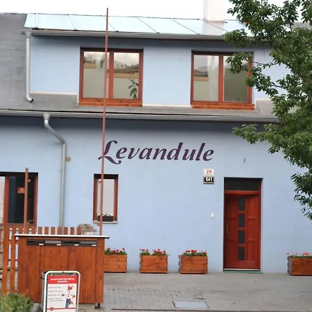 Levandule 3*