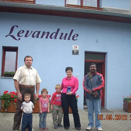 Levandule 3*